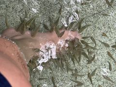 -碧水湾温泉