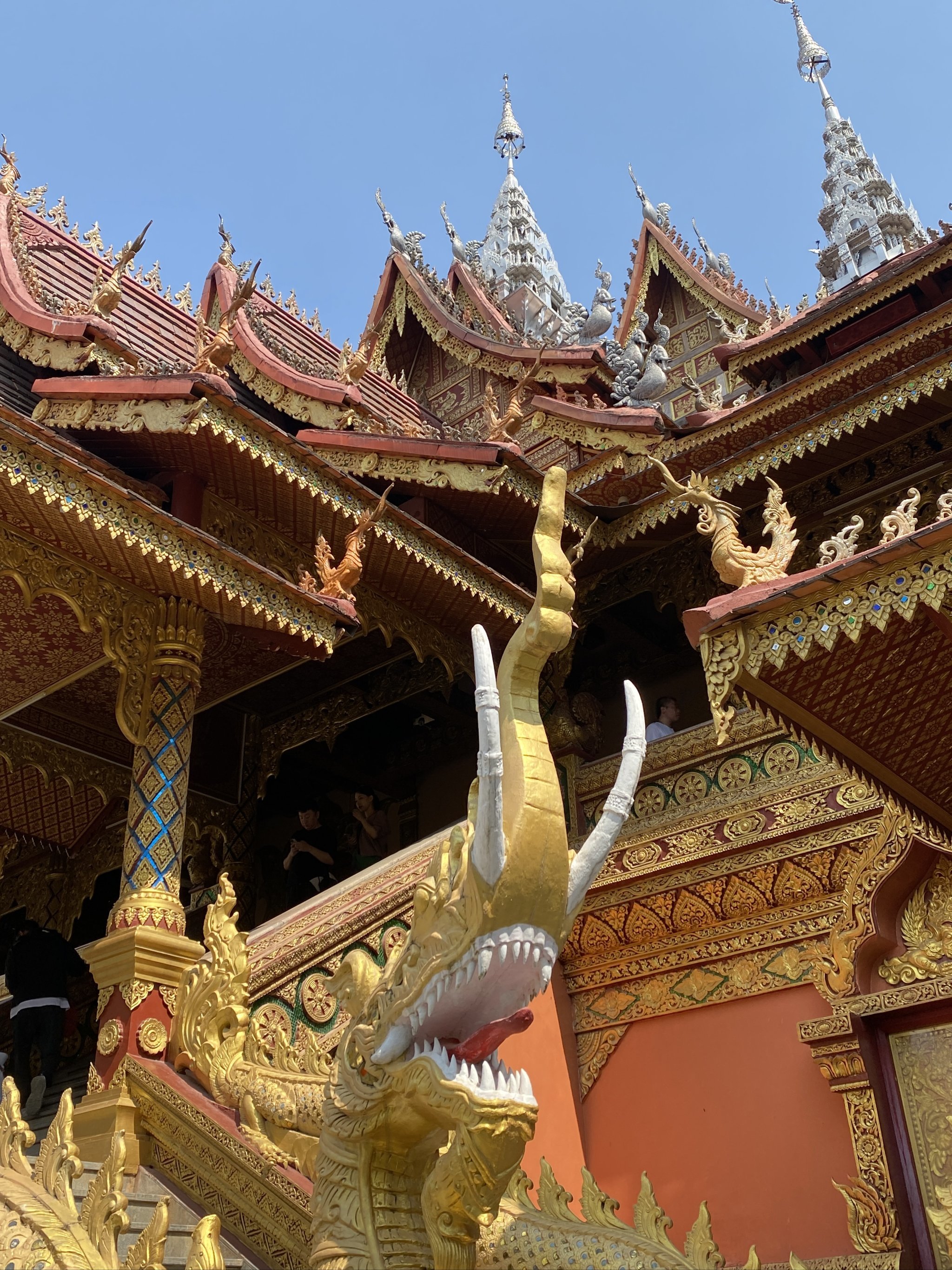 没有冬天的地方