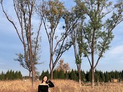 -汉长安城未央宫国家考古遗址公园