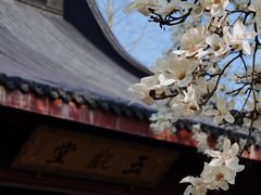 -杭州上天竺法喜讲寺