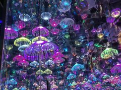 -梵高星空艺术馆(北京旗舰店)