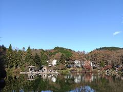 -四明山国家森林公园