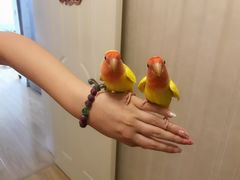 -青岛市体育产业发展中心全民健身中心