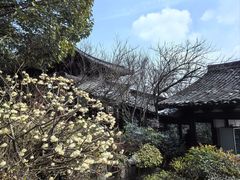 -杭州半山国家森林公园