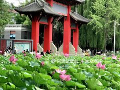 -四川大学(望江校区)