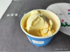 -野蔓果·山野菜(西湖景区·龙井茶田店)