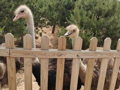 -山西乌金山旅游区