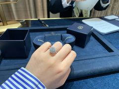 -Harry Winston 海瑞温斯顿