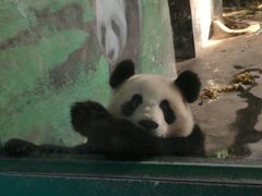 -临沂动植物园