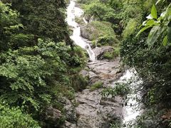 -东天目山风景区