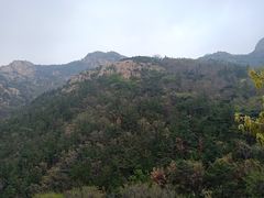 -石岛赤山风景区