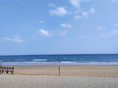 -西涌国际滨海旅游区