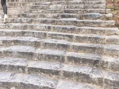 -聚龙山公园
