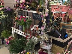 景观位-随心小姐