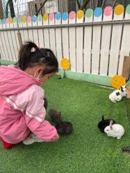 -萌宠亲子动物乐园(槐房万达店)