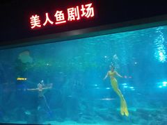 -福州罗源湾海洋世界旅游区