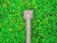 -清漾毛氏文化村