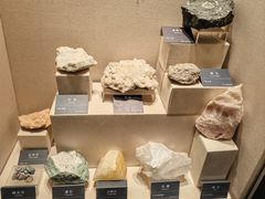 -安徽省地质博物馆