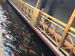 -侠成水上农庄(工业大道店)