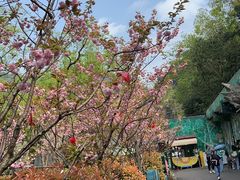 -黔灵山公园