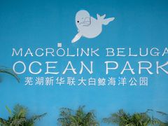 -芜湖新华联大白鲸海洋公园