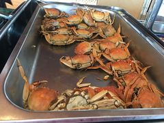 -荣誉国际酒店-云顶旋转餐厅