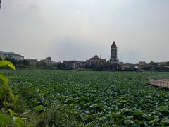 -日照海滨国家森林公园