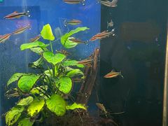 -沙沙哗啦海洋馆(华宇百花谷店)