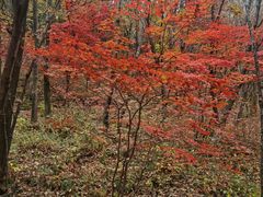 -本溪老边沟风景区