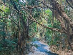 -燕晗山郊野公园