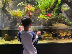 -合肥海洋世界