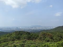 -大雁山风景区