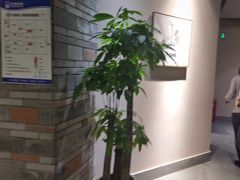 -丹江渔村(首都机场店)