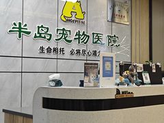 -半岛宠物医院24小时(西派城店)