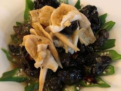 捞汁秋葵鸟贝-新海渔港·胶东海鲜家常菜·家宴(奥体中心店)