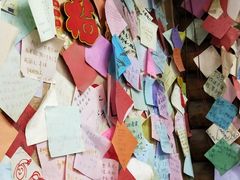 -泸沽肴(泸沽湖大洛水村农村信用社旁店)