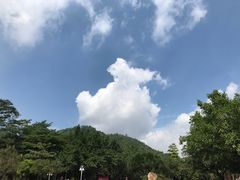 -滴水岩森林公园