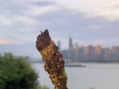 -小林哥的海鲜馆·夜宵烧烤(渔人码头店)