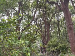 -昆山城市生态森林公园