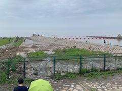 -南汇嘴观海公园