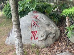 -西昌邛海湿地