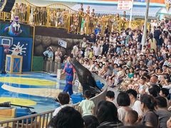 -海合安成都极地海洋公园