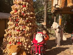 -HERRE·FARM 赫尔露营农场·团建聚会包场