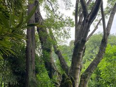 -成都杜甫草堂博物馆