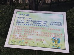 -酷酷兔少儿拓展天地