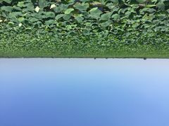 蓝田生态园-洪湖生态旅游区