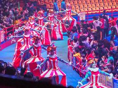 -广州长隆国际大马戏