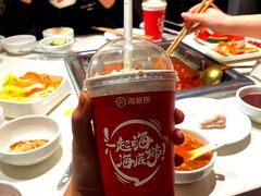 -海底捞火锅(巴黎春天浦建店)