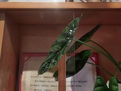 -一杯潮茶·专注潮汕茶饮(朝阳庄店)