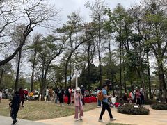 -人民公园(罗湖区)